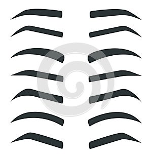 Set of various types eyebrows