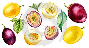Set of variouse passion fruits, mint and leaves watercolor illustration isolated on white.
