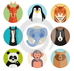 Set of vector animal icons in round buttons