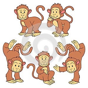 Set of vector animals (monkeys)