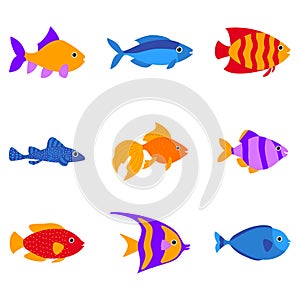 Set of vector aquarium fish silhouette illustration. Water icon. Underwater ocean fauna. Colorful cartoon flat aquarium fish icon
