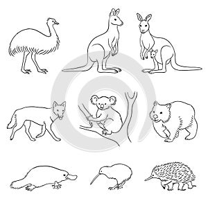 Set of vector Australian animals in contours