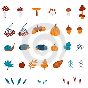 Set of vector autumn elements as pumpkin, rowan, spruce, acorn, mushrooms, hedgehog, leaves, snail, apple, rain, heart