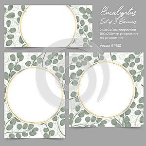 Set of vector banner template with hand drawn eucalyptus illsutration with watercolor imitation and gold frame. Best for flyer, po