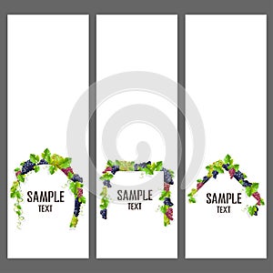 Set of vector banners with bunches of grapes