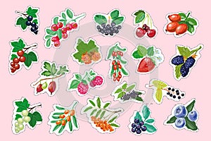 Set of vector berry stickers