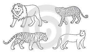 Set of vector big cats in contours