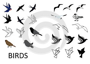 Set of vector birds