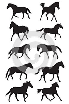 Set of vector black trotting horses silhouettes