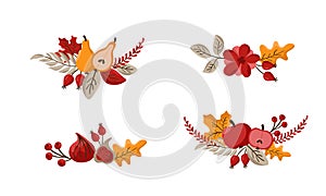 Set of vector bouquet Autumn wreath design template print with flower cotton, leaves, fruits and berries. October