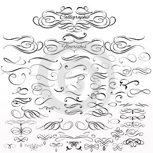Set of vector calligraphic elements and page decorations photo