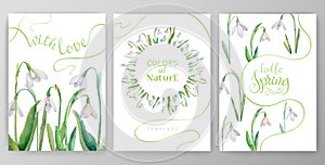 Set of vector cards with watercolor snowdrops. Frames and backgrounds on a spring theme for your design