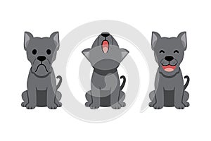 Set of vector cartoon character cane corso dog