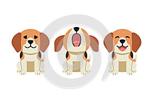 Set of vector cartoon character cute beagle dog