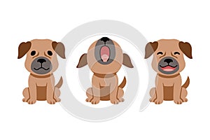 Set of vector cartoon character cute brown dog