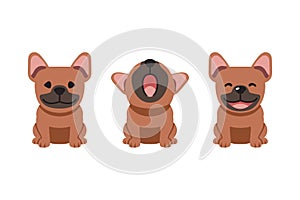 Set of vector cartoon character cute brown french bulldog