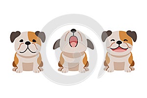 Set of vector cartoon character cute bulldog