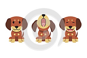 Set of vector cartoon character cute dachshund dog