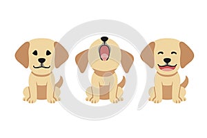 Set of vector cartoon character cute labrador retriever dog