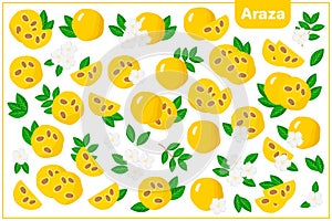 Set of vector cartoon illustrations with Araza exotic fruits, flowers and leaves isolated on white background photo