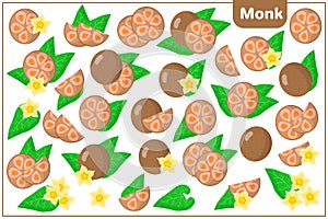 Set of vector cartoon illustrations with Monk exotic fruits, flowers and leaves isolated on white background