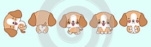 Set of Vector Cartoon Pet Illustrations. Collection of Kawaii Isolated Beagle Dog Art for Stickers, Prints for Clothes