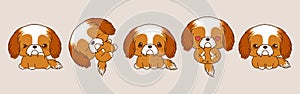 Set of Vector Cartoon Puppy Illustrations. Collection of Kawaii Isolated Shih Tzu Dog Art for Stickers, Prints for