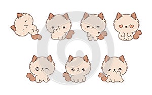 Set of Vector Cartoon Ragamuffin Cat Illustrations. Collection of Kawaii Isolated Cat Art for Stickers, Prints for