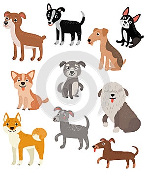 Set vector characters. Dogs of different breeds