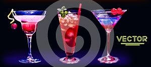 Set of vector cocktail glass with strawberry fruit ice