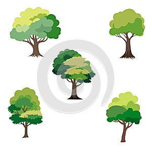 set of vector colored trees