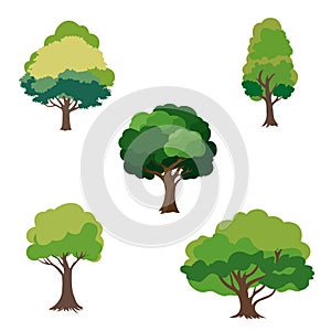 set of vector colored trees