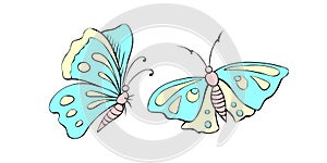 Set of Vector cute color butterflies in flat style. Simple design elements, clip art