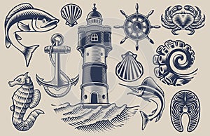 Set of vector design elements for seafood