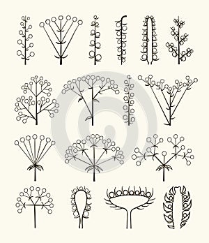 Set of vector different types of inflorescence photo
