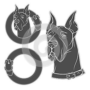 A set of vector drawing of the dog in the collar. EPS10