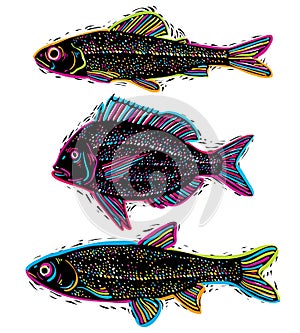 Set of vector drawn fishes, different underwater species. Organic seafood graphic symbols collection, freshwater fishes, sea bass