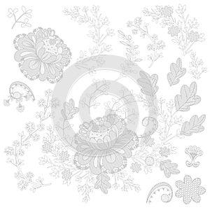 Set of vector filigree lace for design