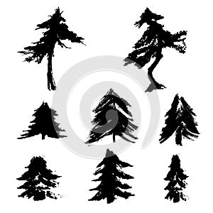 Set of vector fir trees silhouettes