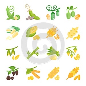 Set Vector Flat Icons of Beans and Cereals