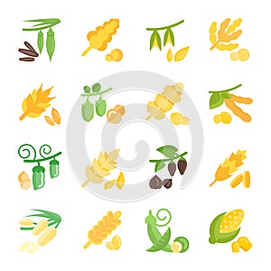 Set Vector Flat Icons of Groats