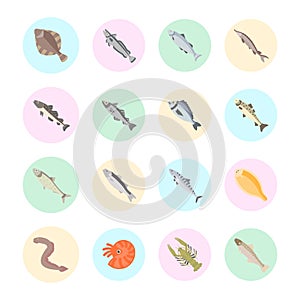 Set Vector Flat Icons of Seafood