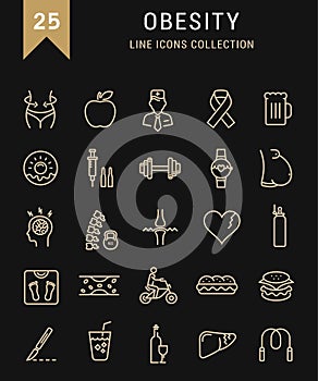 Set Vector Flat Line Icons Obesity