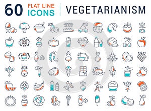 Set Vector Flat Line Icons Vegetarianism