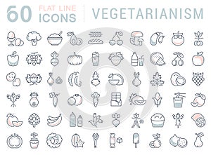 Set Vector Flat Line Icons Vegetarianism