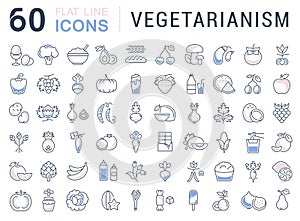 Set Vector Flat Line Icons Vegetarianism photo