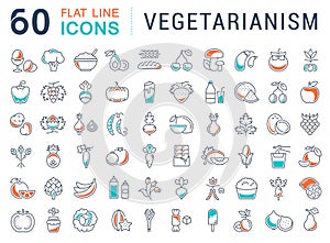 Set Vector Flat Line Icons Vegetarianism photo
