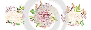 Set of vector floral bouquets. Peony rose, white carnation, chamelaucium, lathyrus, eucalyptus, and branch of pink berries.