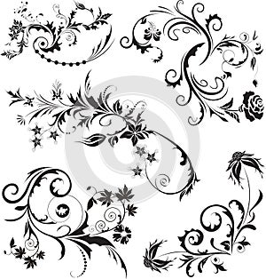 Set of vector floral design on white. Vector illustration.