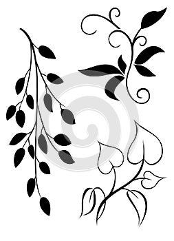 Set of vector floral elements for design